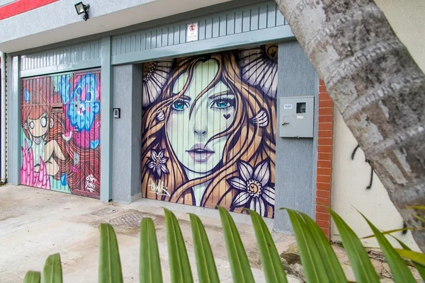 Casas na W3 Sul se enfeitam com grafite para evitar pichações