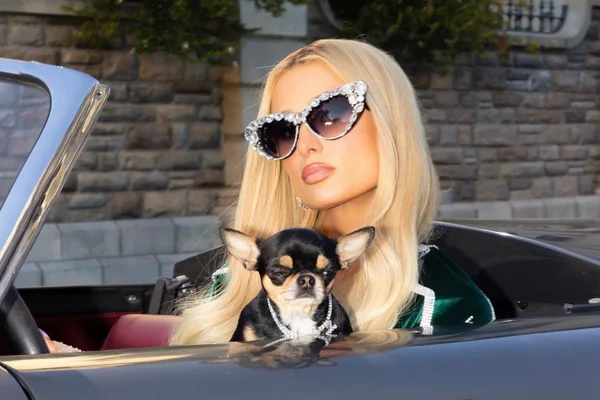 Imagem colorida de Paris Hilton com seu pet no carro