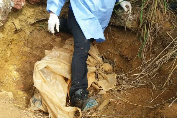 Irmãos são condenados por matar comparsa e ocultar cadáver no DF