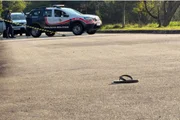 PM aposentado foi atingido por disparo no tórax durante um assalto enquanto pedalava. Ele chegou a ser levado ao hospital mas não resistiu PM aposentado foi atingido por disparo no tórax durante um assalto enquanto pedalava. Ele chegou a ser levado ao hospital mas não resistiu