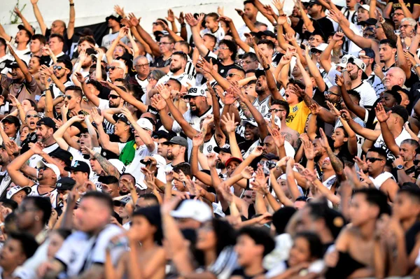 Torcida da Ponte Preta comemorando título da Série C do Brasileirão