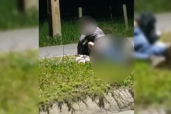 Em vídeo, casal é flagrado fazendo sexo em público sob grama - Metrópoles