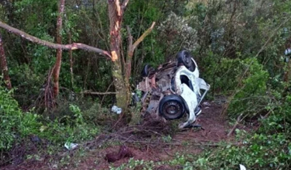 Imagem colorida de veículo destruído ao redor de árvores - Metrópoles