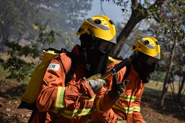 Lista da terceira chamada para brigadistas florestais no DF é divulgada