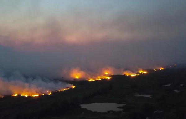 Bombeiros do DF ajudarão a combater incêndios no Pantanal