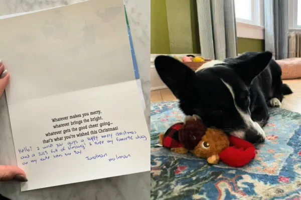 Montagem de duas imagens coloridas de carta do carteiro e cadela corgi com brinquedo