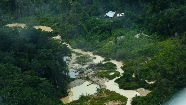 Governo Federal - Garimpo - Yanomami