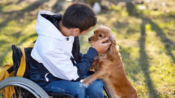 Foto colorida de garoto em cadeira de rodas acariciando cão