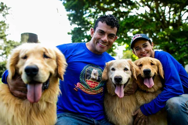 Casal criadores de goldens