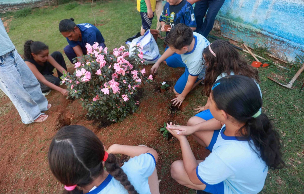 Alunos e professores da Escola Classe 03 do Núcleo Bandeirante, onde Valentina Nobre estudava, fazem homenagem à criança, que morreu devido a picada de escorpião. Alunos e professores da Escola Classe 03 do Núcleo Bandeirante, onde Valentina Nobre estudava, fazem homenagem à criança, que morreu devido a picada de escorpião.