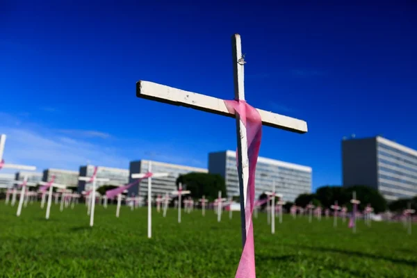 Esplanada: 1,2 mil cruzes lembram vítimas de feminicídio no país