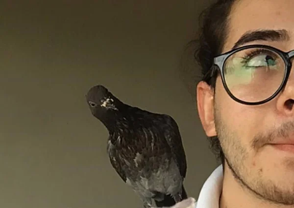 Jovem resgata pomba e decide adotá-la como pet