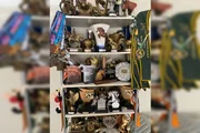 Vegas venceu diversos campeonatos nacionais Vegas venceu diversos campeonatos nacionais