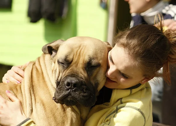 Conheça algumas das maiores raças de cachorros