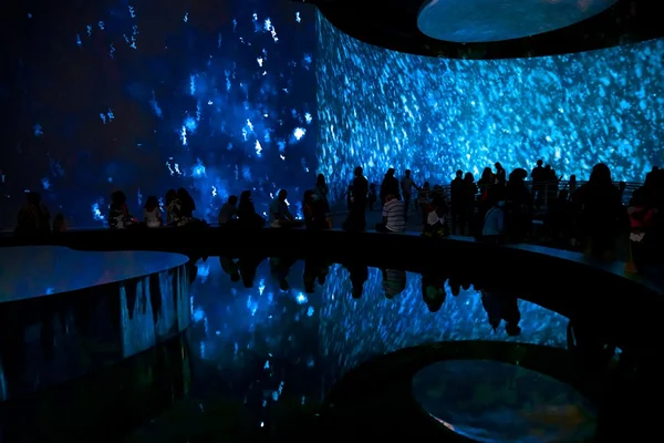 Foto da exposição Monet À Beira D'Água