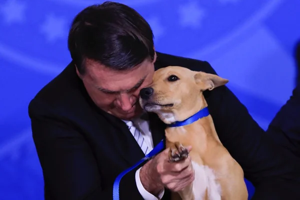 Bolsonaro em assinatura de lei que aumenta multa a quem maltratar animais