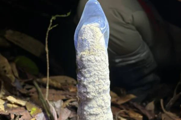 Cigarra penis torre de argila camisinha