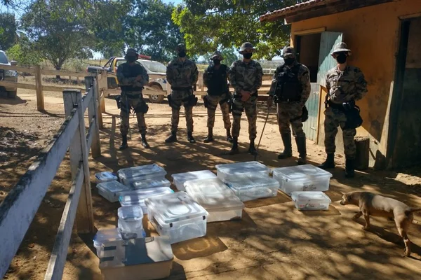 PM encontra mais 16 cobras exóticas escondidas em núcleo rural do DF
