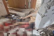 Na internet circulam imagens que mostram "Pica-Pau" com a cabeça completamente destruída 