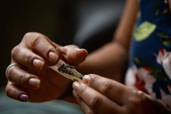 Cigarro de maconha - Metrópoles