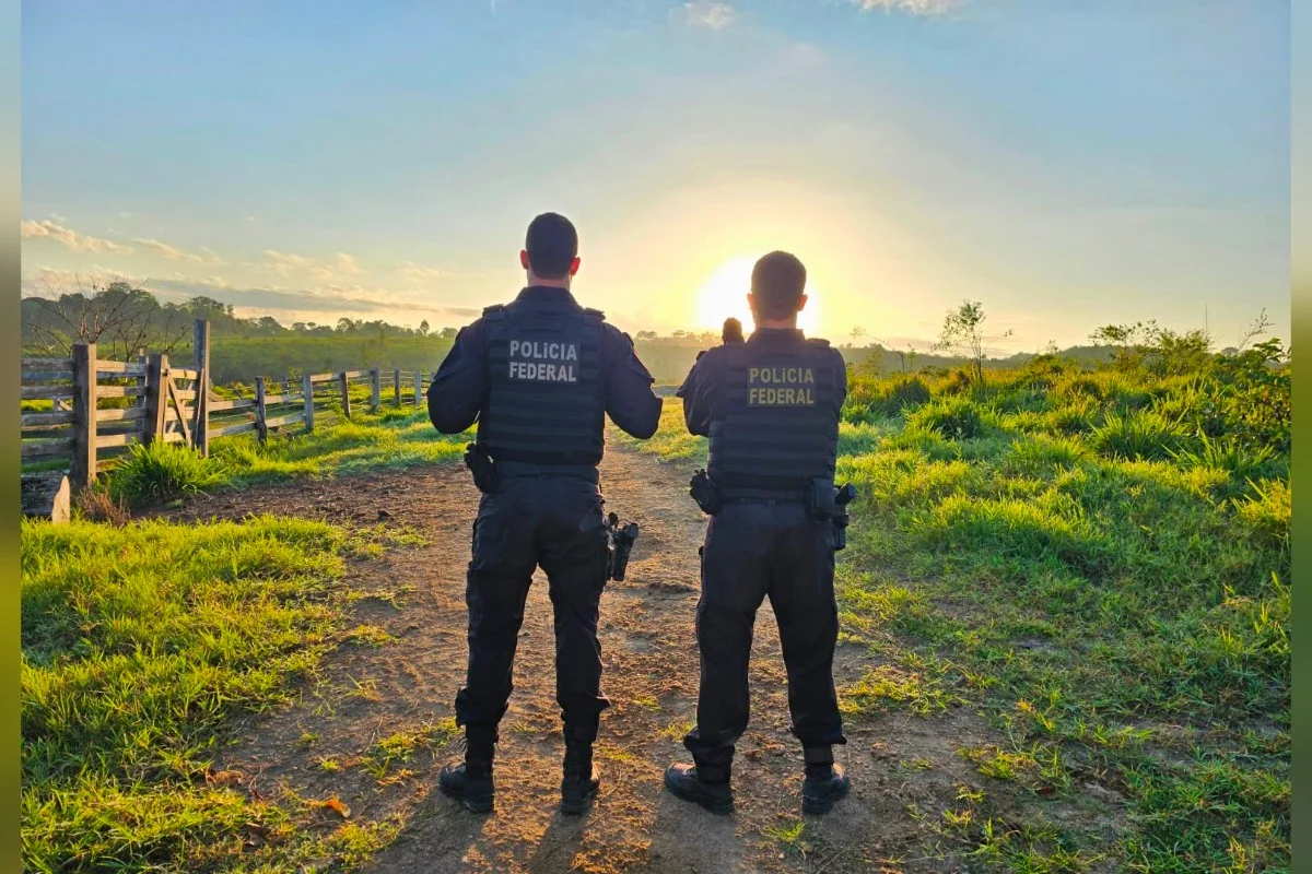 PF investiga desmatamento na Floresta Amazônica com dano de R$ 469 milhões