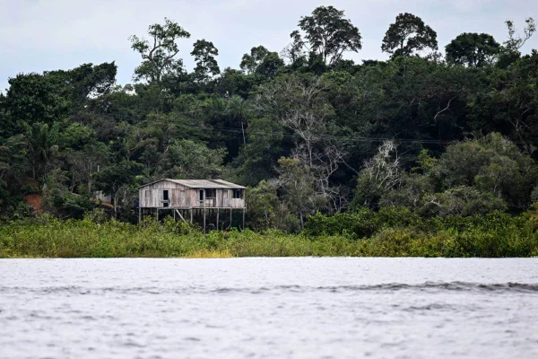 rio negro amazonas