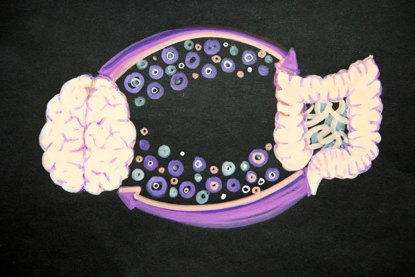 Ilustração do eixo intestino-cérebro mostrando a comunicação bidirecional entre o cérebro e o sistema digestivo, destacando a influência do microbioma na imunidade e na saúde mental e física. Metrópoles