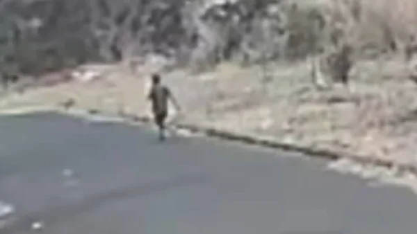 Após ser capturado saindo da mata momentos antes de uma queimada em Jales, homem é multado em R$ 7.350 por infração ambiental - Metrópoles
