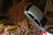 Temporal estaria relacionado com entrada de frente fria na cidade. A forte chuva resultou em quedas de árvores e destelhamentos Temporal estaria relacionado com entrada de frente fria na cidade. A forte chuva resultou em quedas de árvores e destelhamentos
