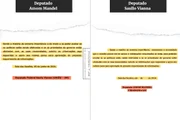 Deputado federal plagia requerimentos escritos por colega de estado - imagem 3