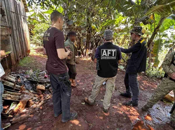 imagem colorida. Fiscais