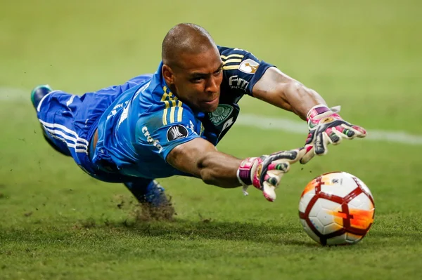 Goleiro pagou tratamento dentário a pai de Endrick, do Palmeiras