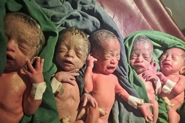 Foto colorida bebês quíntuplos após nascimento