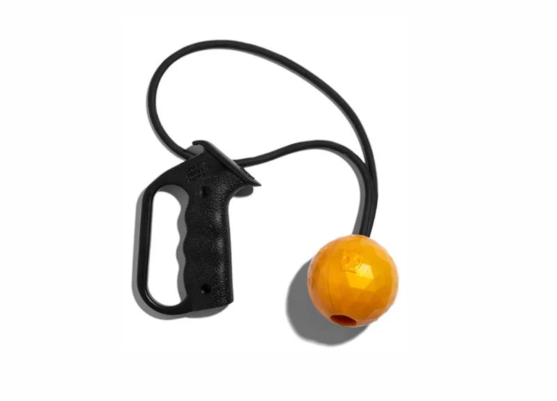 Que tal um "estilingue" da ZeeDog para o seu bichinho? Ele serve para gatos e cachorros e promete incentivar muito a vida "fitness" do seu pet, além de proporcionar boas corridas atrás da bolinha Que tal um "estilingue" da ZeeDog para o seu bichinho? Ele serve para gatos e cachorros e promete incentivar muito a vida "fitness" do seu pet, além de proporcionar boas corridas atrás da bolinha