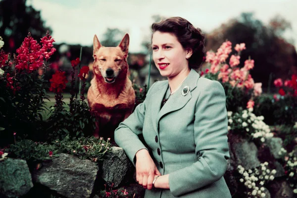 Rainha Elizabeth