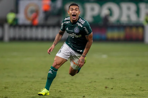 Palmeiras Dudu