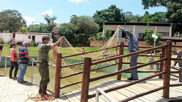 Policial militar é acusado de jogar gato em lago com jacaré