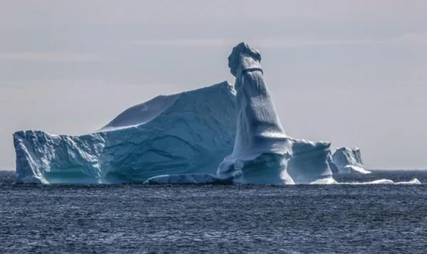 Iceberg “excitado” chama a atenção na web e foto viraliza