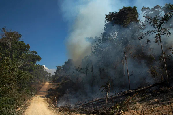 Foto colorida de queimada em floresta da Amazônia - Metrópoles
