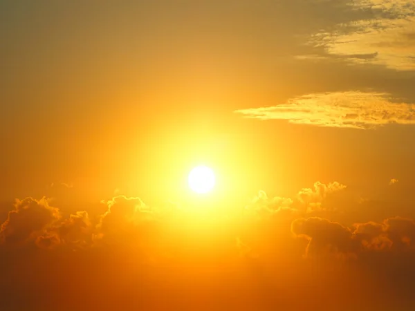 Sol