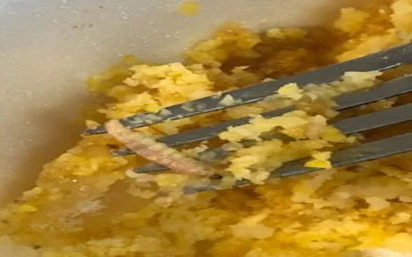 Larva encontrada na comida servida no Restaurante Universitário da Universidade Federal de Sergipe