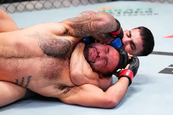 Luta investigada de manipulação, do Vegas 110 UFC, entre Yadier del Valle e Isaac Dulgarian - Metrópoles