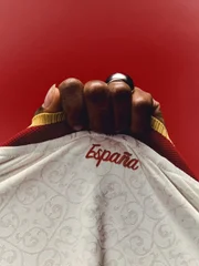 Detalhe próximo à gola da camisa Detalhe próximo à gola da camisa