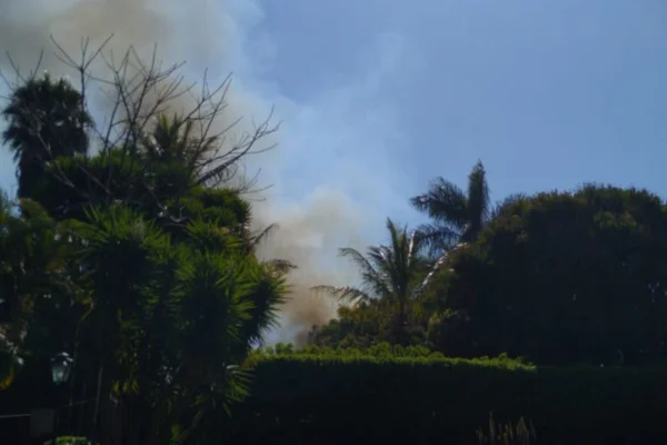 Incêndio florestal atinge a quadra 27 no Park Way