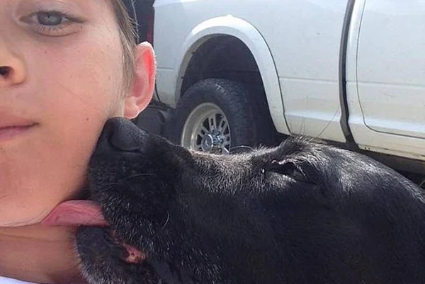 Menino e cachorro