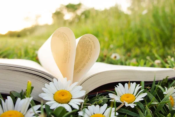 Confira 6 livros de romance que você deveria ler