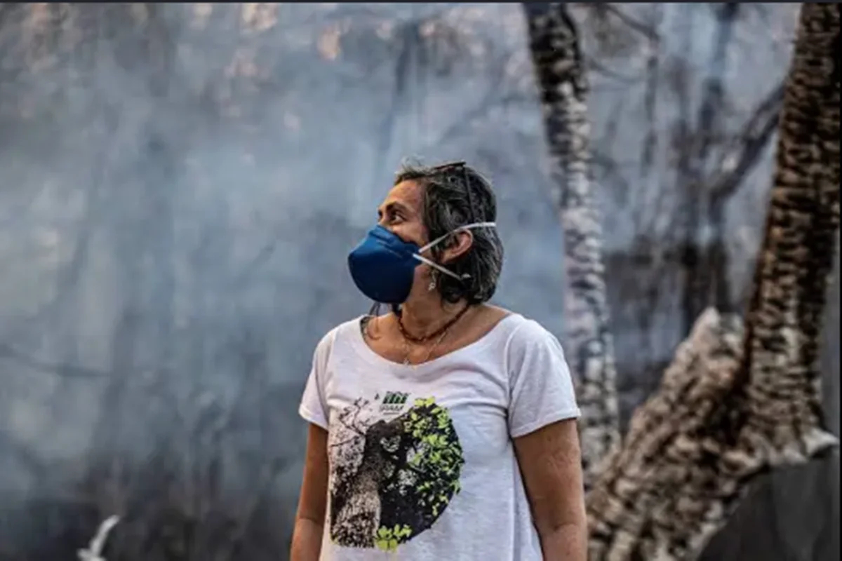 Pesquisadora premiada explica por que Cerrado lidera queimadas - imagem 2 Pesquisadora premiada explica por que Cerrado lidera queimadas - imagem 2
