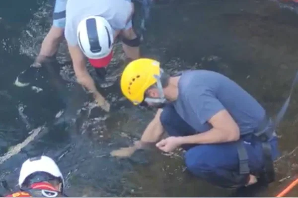 Imagem mostra ação de limpeza por equipe nas cataratas do iguaçu - Metrópoles