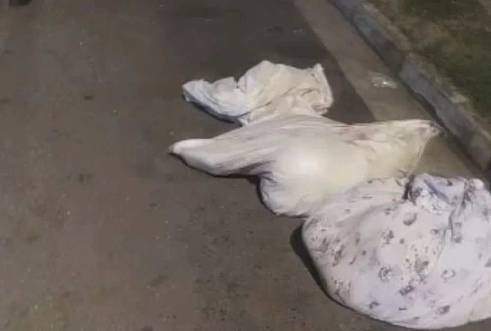 Corpos de duas vítimas foram encontrados em sacos plásticos em Santos Corpos de duas vítimas foram encontrados em sacos plásticos em Santos