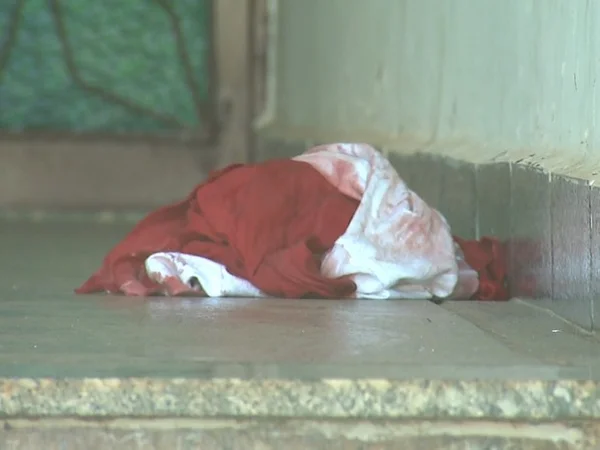 Mulher mata filha grávida e esfaqueia neto em SP